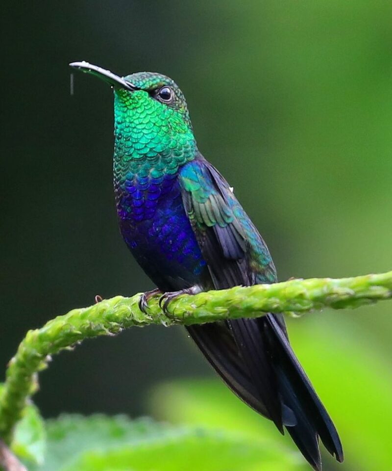 perutravelcompany