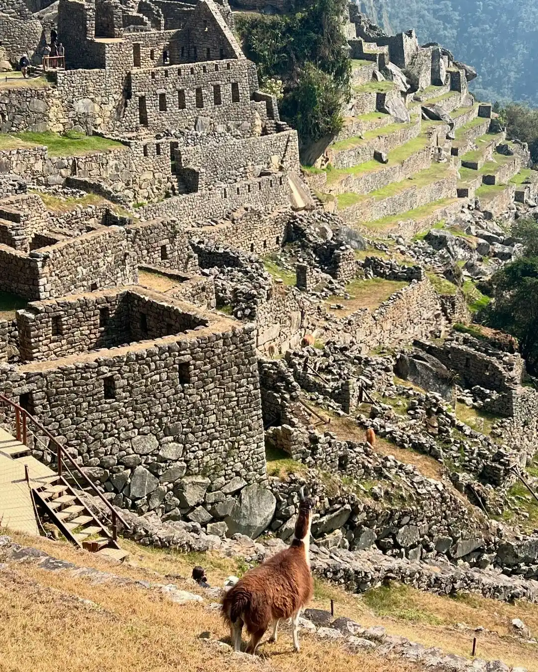 Camino Inca 4 Dias Caminata Clasico - Peru Travel Company